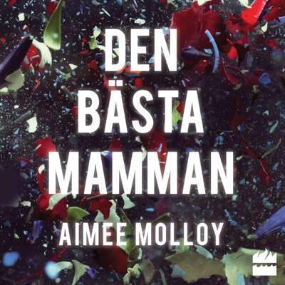 Den bästa mamman - Aimee Molloy.