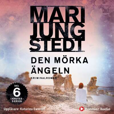 Den mörka ängeln - Mari Jungstedt.