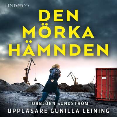 Den mörka hämnden - Torbjörn Sundström.