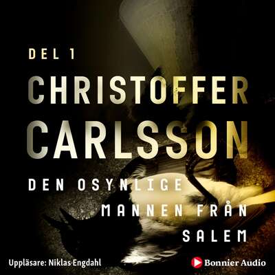 Den osynlige mannen från Salem - Christoffer Carlsson.