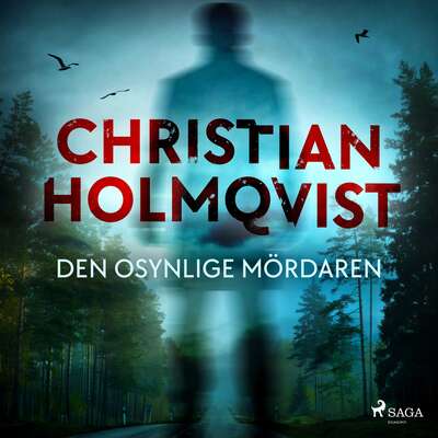 Den osynlige mördaren - Christian Holmqvist.