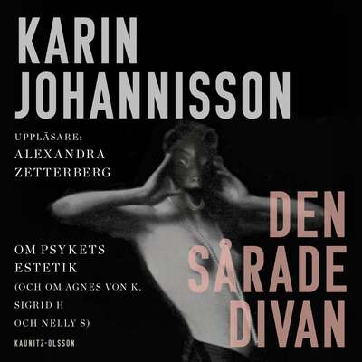 Den sårade divan - Karin Johannisson.