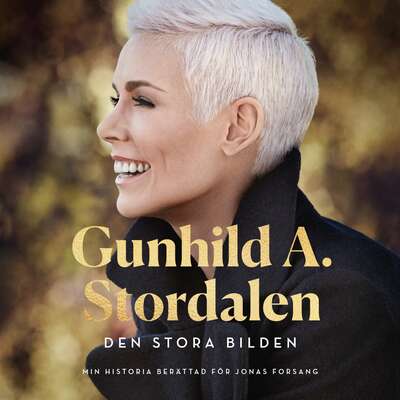 Den stora bilden - Gunhild Stordalen.