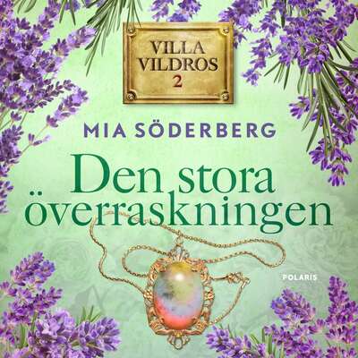 Den stora överraskningen - Mia Söderberg.