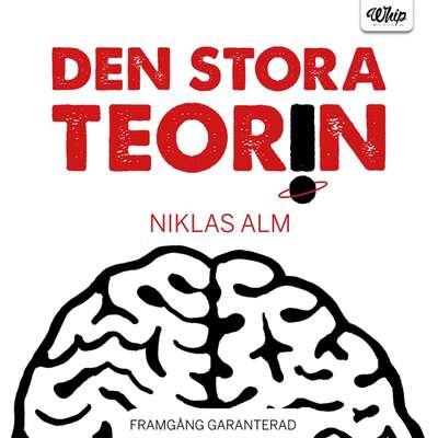 Den stora teorin - Niklas Alm.