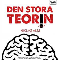 Den stora teorin