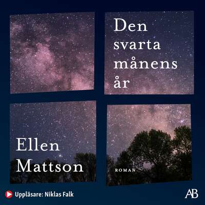 Den svarta månens år - Ellen Mattson.