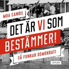 Det är vi som bestämmer! - Så funkar demokrati. Nivå 3 (lättläst)