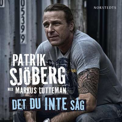 Det du inte såg - Markus Lutteman och Patrik Sjöberg.