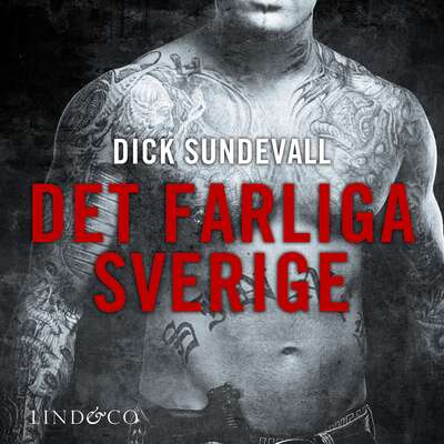 Det farliga Sverige - Dick Sundevall.