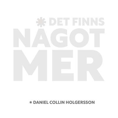 Det finns något mer - Daniel Collin Holgersson.