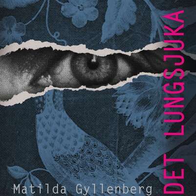 Det lungsjuka huset - Matilda Gyllenberg.