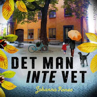 Det man inte vet - Johanna Ranes.