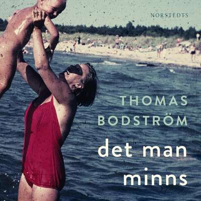 Det man minns - Thomas Bodström.