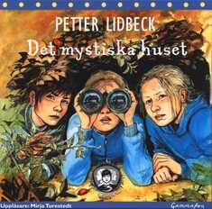 Det mystiska huset