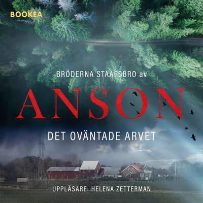 Det oväntade arvet - Anson.