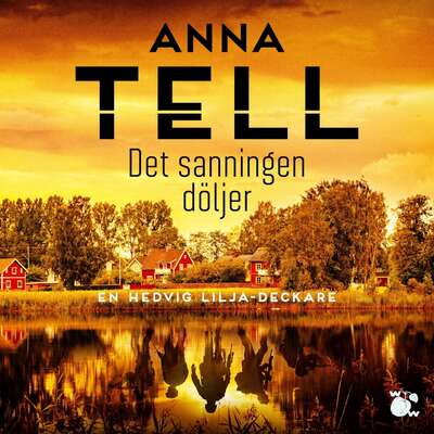 Det sanningen döljer - Anna Tell.