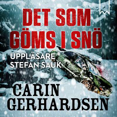 Det som göms i snö - Carin Gerhardsen.