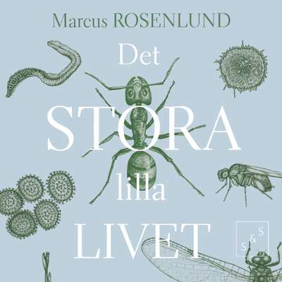 Det stora lilla livet - Marcus Rosenlund.