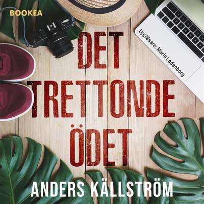 Det trettonde ödet - Anders Källström.