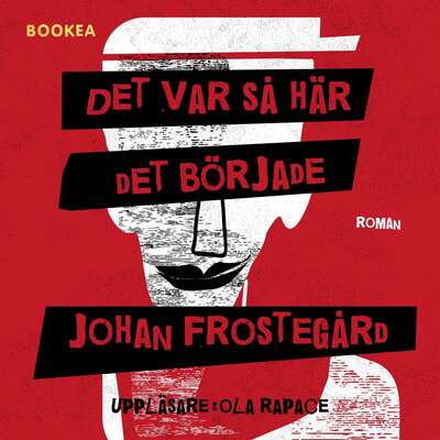 Det var så här det började - Johan Frostegård.