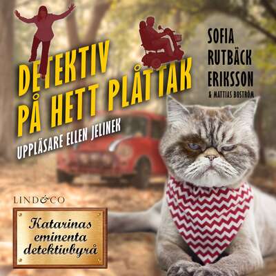 Detektiv på hett plåttak - Mattias Boström och Sofia Rutbäck Eriksson.