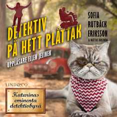 Detektiv på hett plåttak