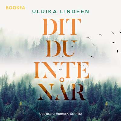 Dit du inte når - Ulrika Lindeen.