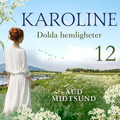 Dolda hemligheter - Aud Midtsund.