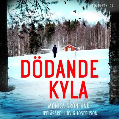 Dödande kyla - Monica Grönlund.