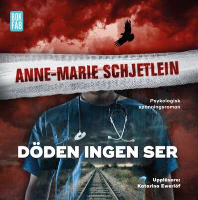 Döden ingen ser - Anne-Marie Schjetlein.