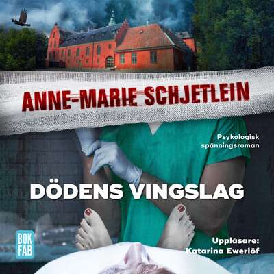 Dödens vingslag - Anne-Marie Schjetlein.