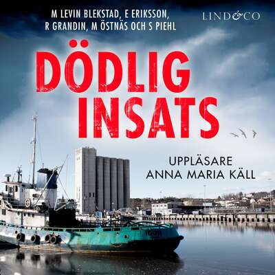 Dödlig insats - Erik Eriksson, Margaretha Levin Blekastad, Richard Grandin, Sofi Piel och Magnus Östnäs.