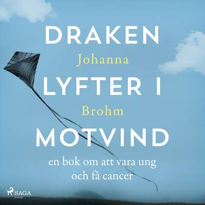 Draken lyfter i motvind - Johanna Brohm.