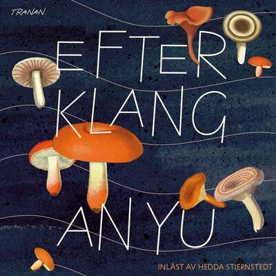 Efterklang - An Yu.