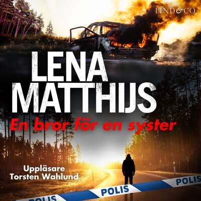 En bror för en syster - Lena Matthijs.