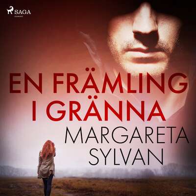 En främling i Gränna - Margareta Sylvan.