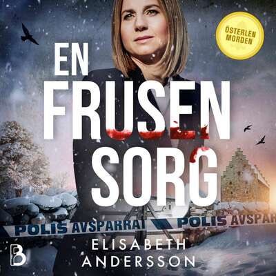 En frusen sorg - Elisabeth Andersson.