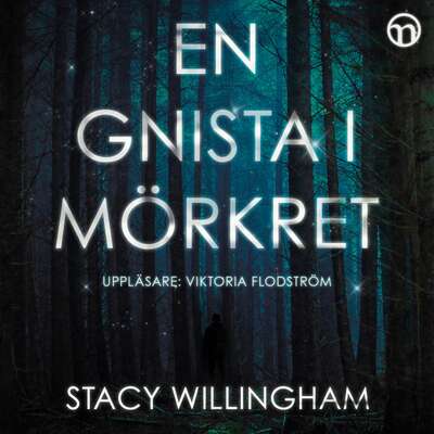 En gnista i mörkret - Stacy Willingham.