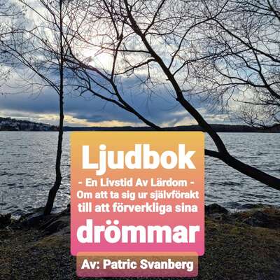 En Livstid Av Lärdom - Patric Svanberg.