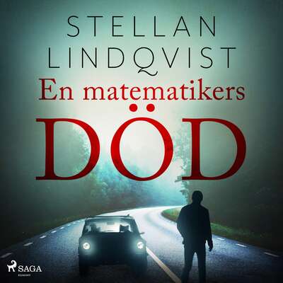 En matematikers död - Stellan Lindqvist.