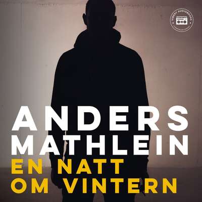 En natt om vintern - Anders Mathlein.