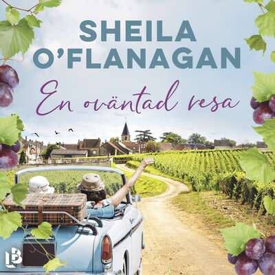 En oväntad resa - Sheila O'Flanagan.