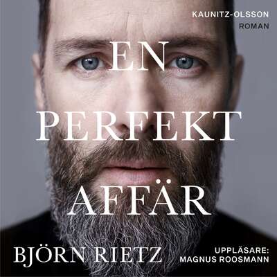 En perfekt affär - Björn Rietz.