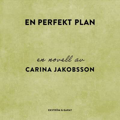 En perfekt plan - Carina Jakobsson.