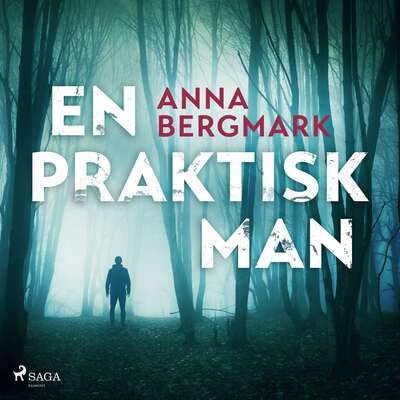 En praktisk man - Anna Bergmark.