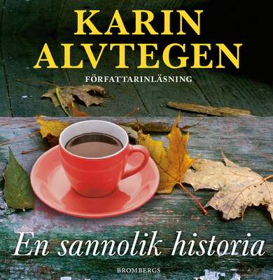 En sannolik historia - Karin Alvtegen.