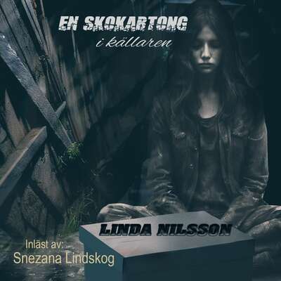 En skokartong i källaren - Linda Nilsson.