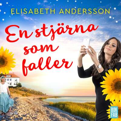 En stjärna som faller - Elisabeth Andersson.