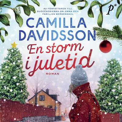 En storm i juletid - Camilla Davidsson.